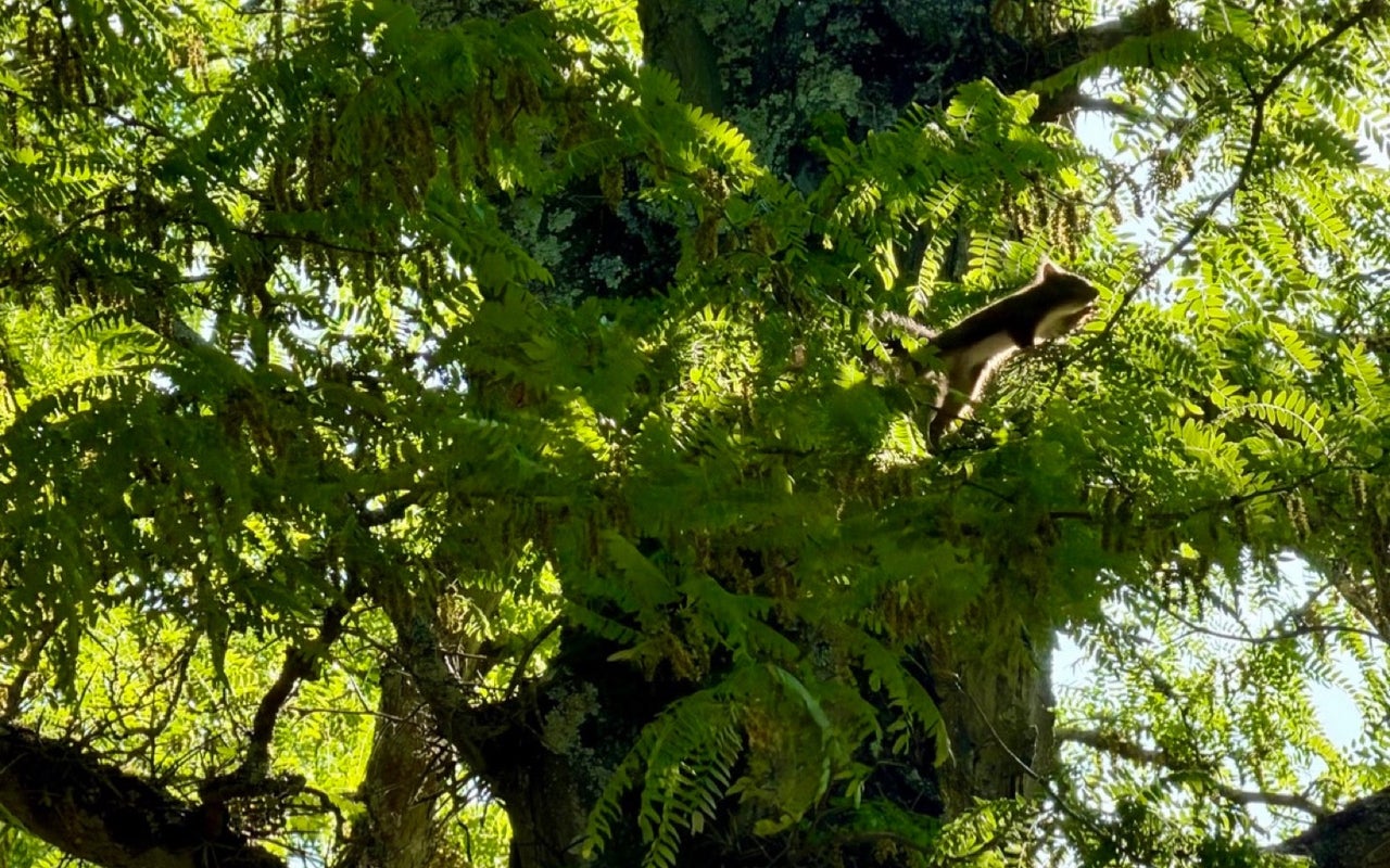 Parc Bordelais