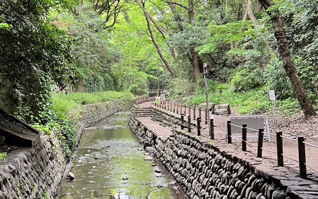 Todoroki Valley (等々力渓谷)