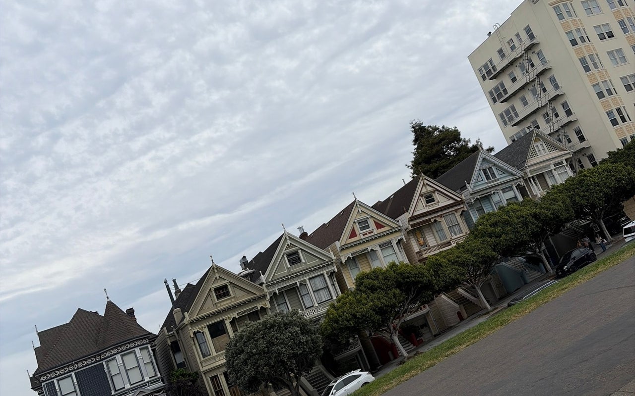 Painted Ladies