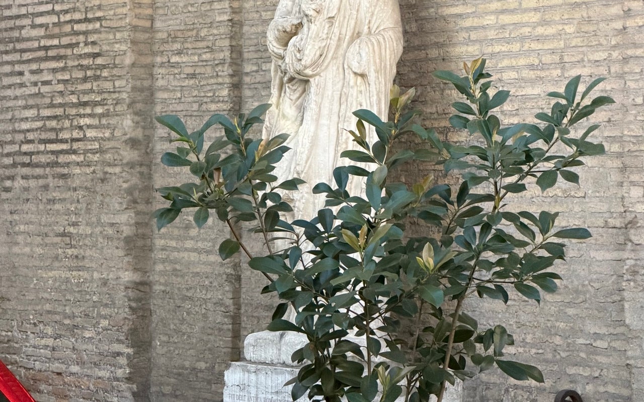 Basilica di Sant'Andrea della Valle