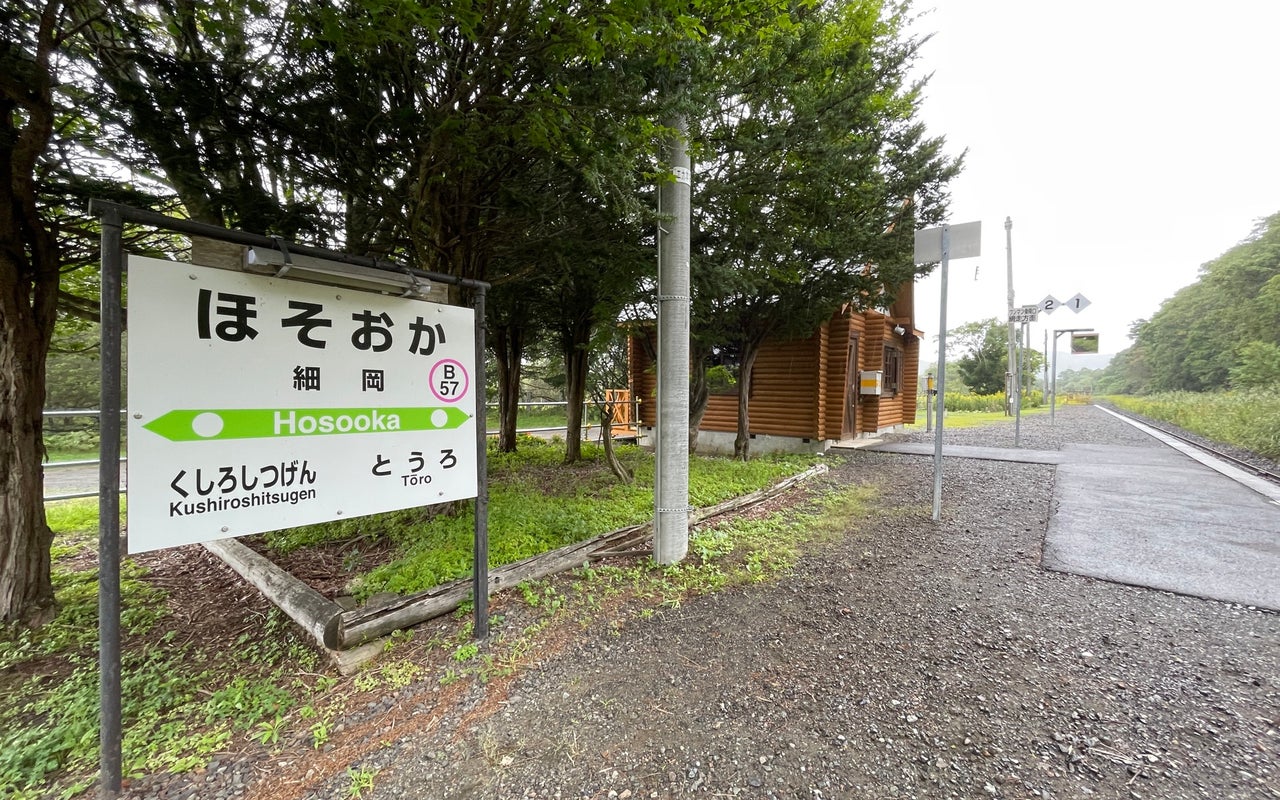 Hosooka Station (細岡駅)
