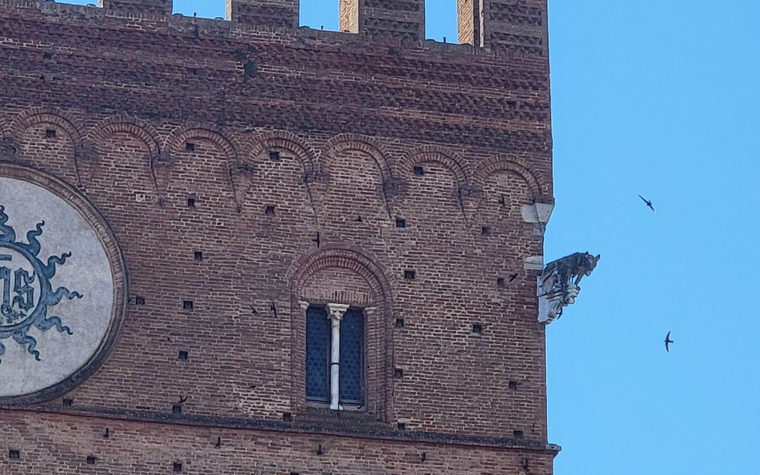 Torre del Mangia