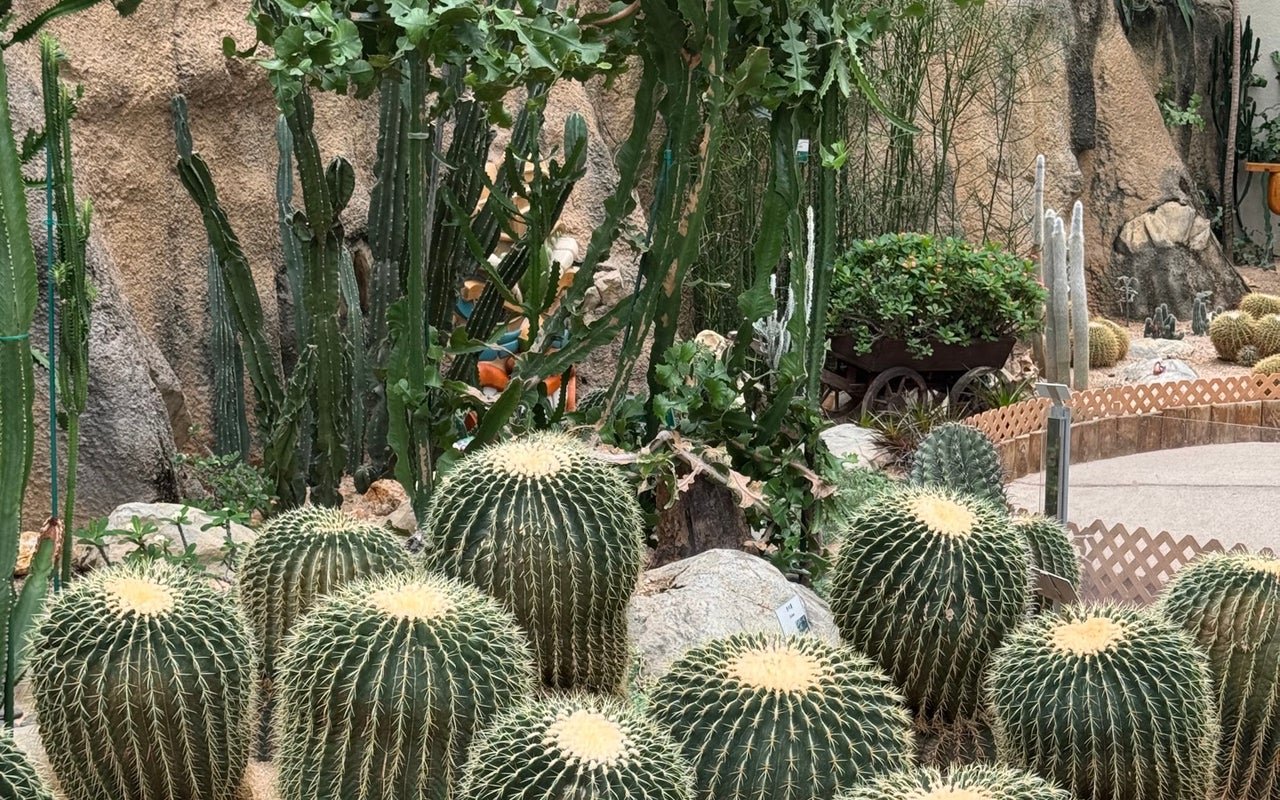Hong Kong Park Aviary (香港公園觀鳥園)