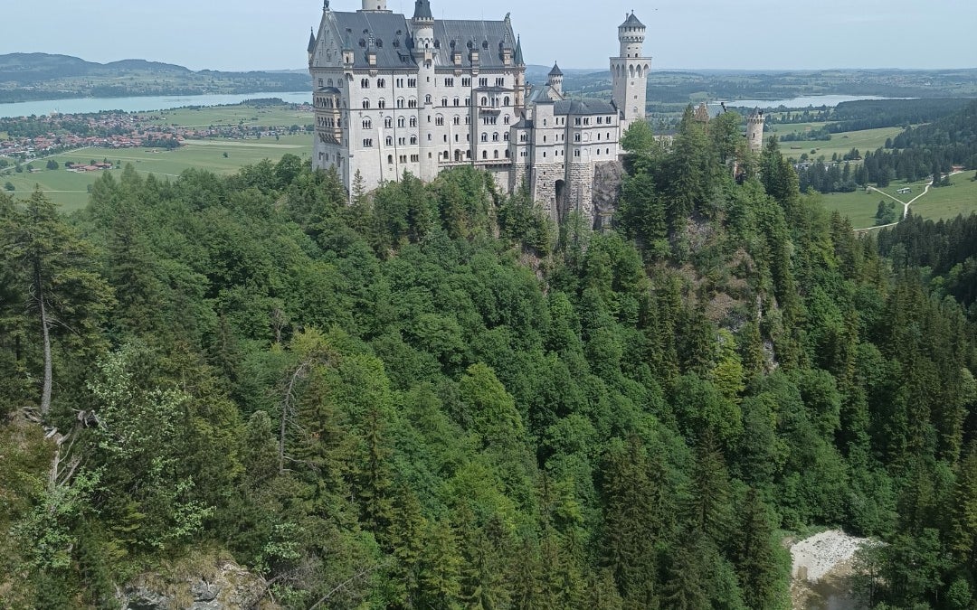Neuschwanstein Castle (Schloss Neuschwanstein)