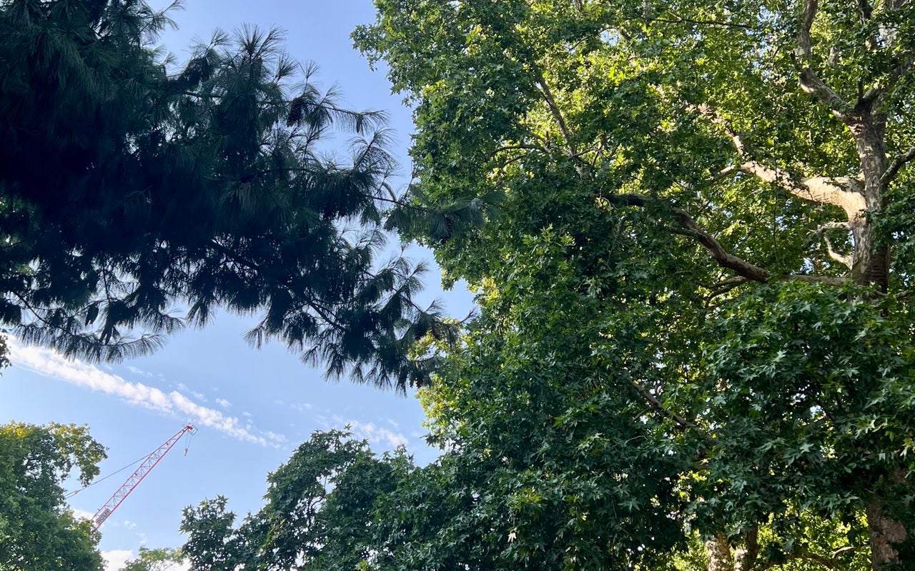 Soho Square
