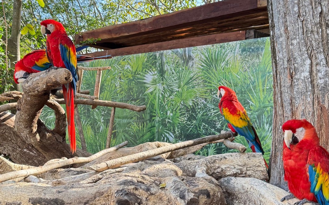 Xcaret