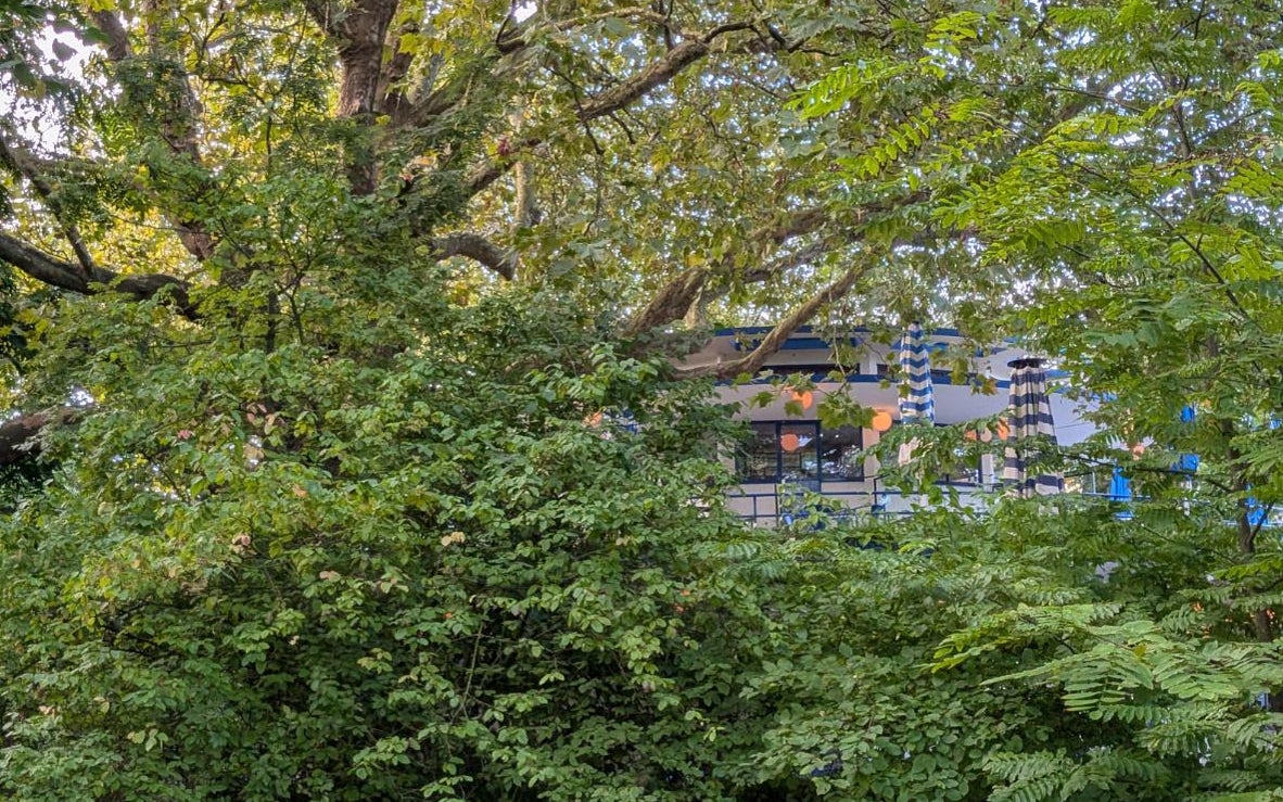 Vondelpark