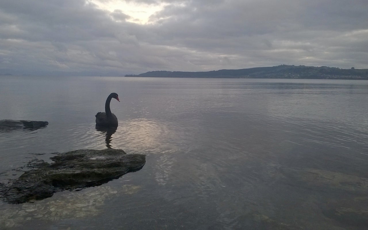 Lake Taupo