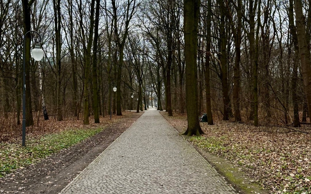 Großer Tiergarten