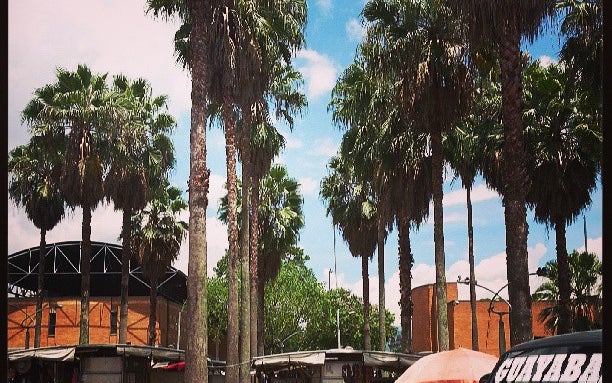 Parque San Antonio