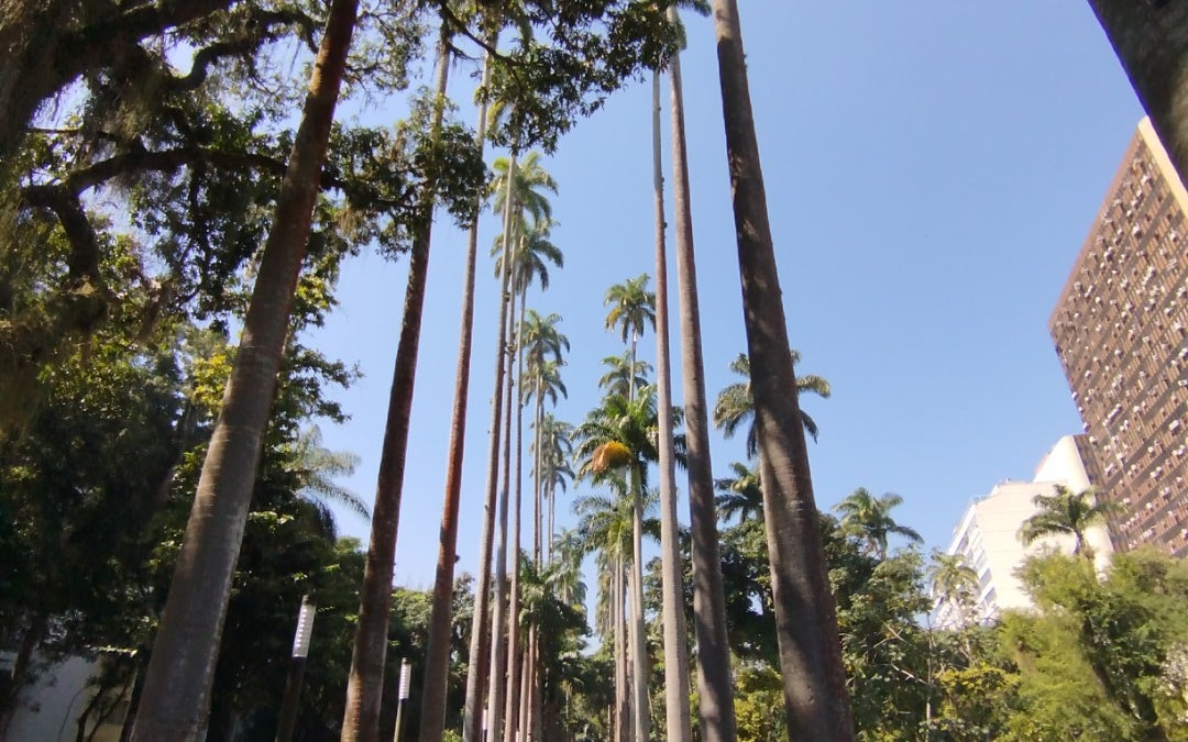 Jardins do Museu da República