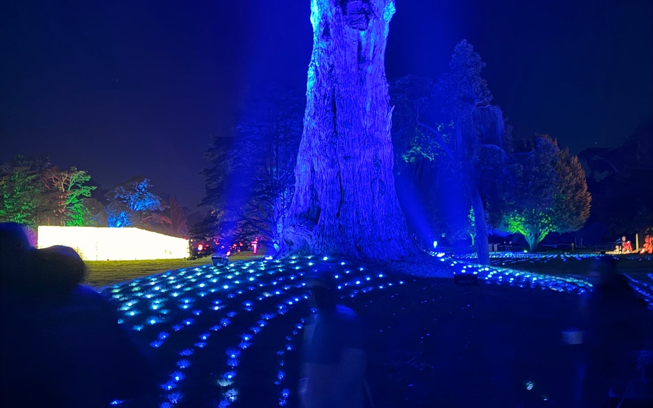 San Francisco Botanical Garden