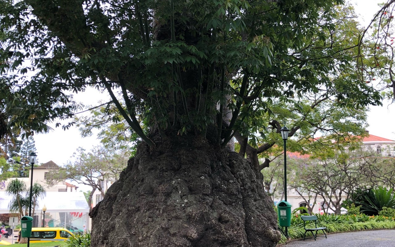 Jardim Municipal