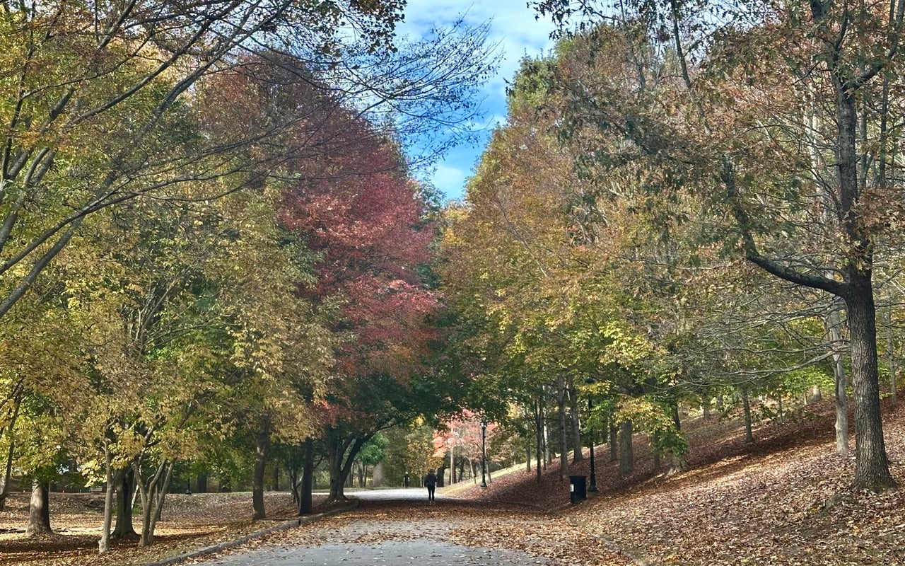 Grant Park