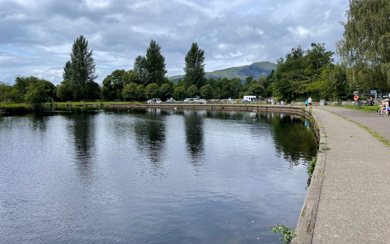 The Meadows