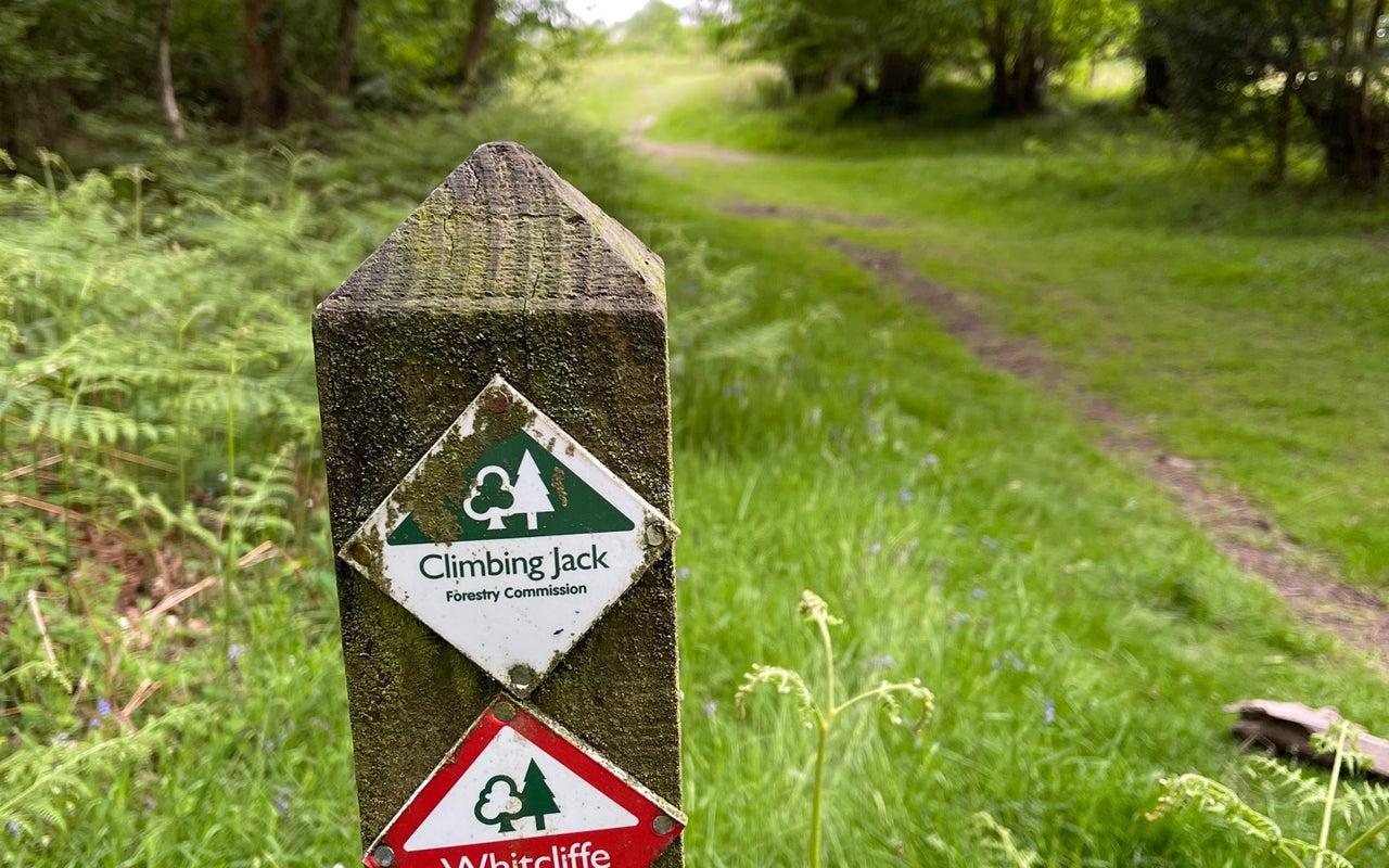 Whitcliffe Common