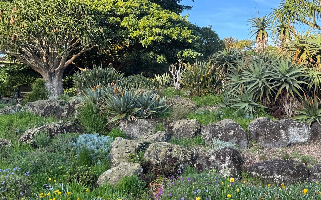 Auckland Botanic Gardens
