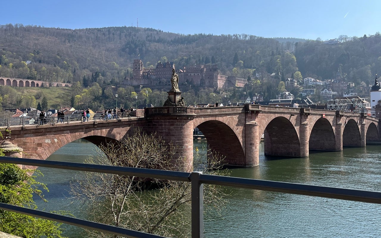 Neckarwiese