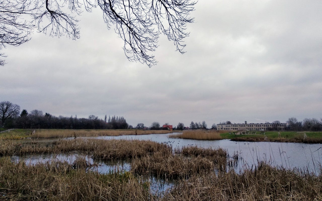 Opływ Motławy