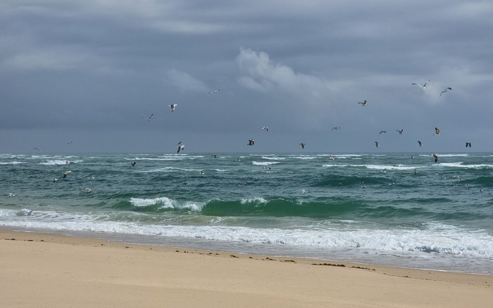 Praia da Culatra (Mar)