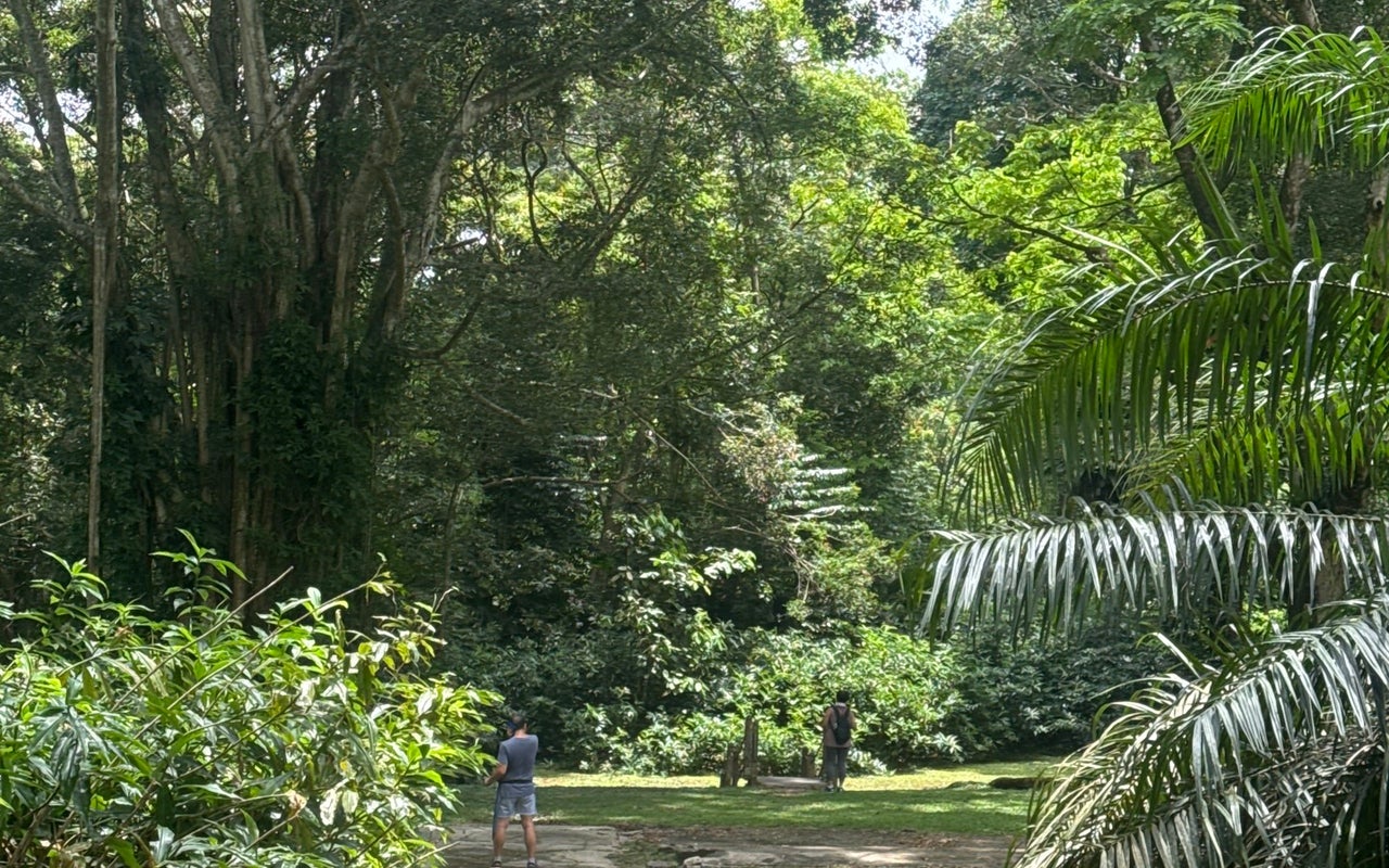 Dairy Farm Nature Park