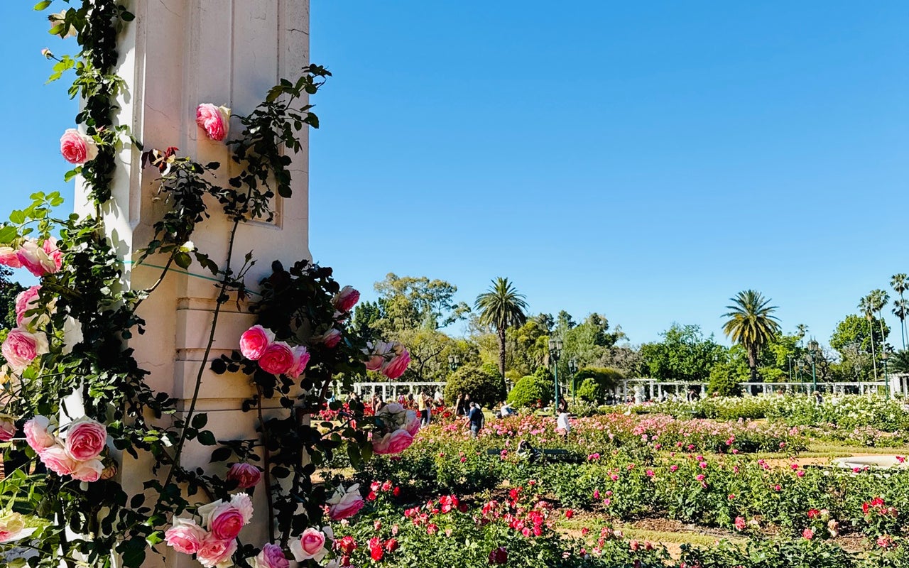 Rose Garden (El Rosedal)