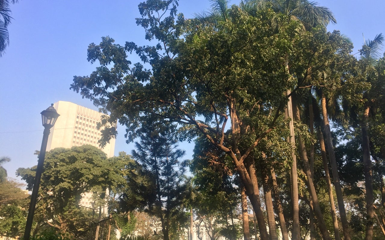 Horniman Circle