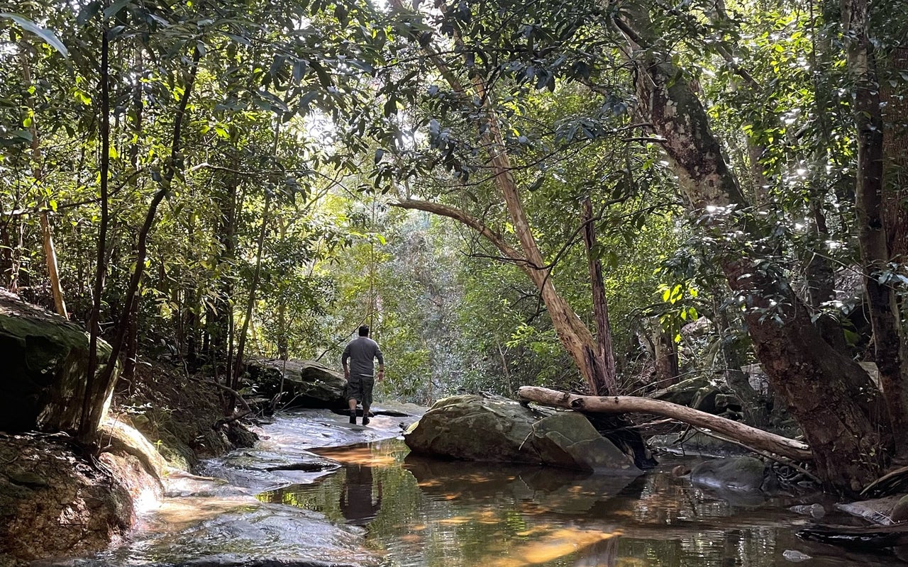 Ku-Ring-Gai Chase National Park