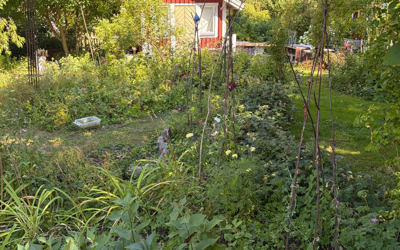Långholmen