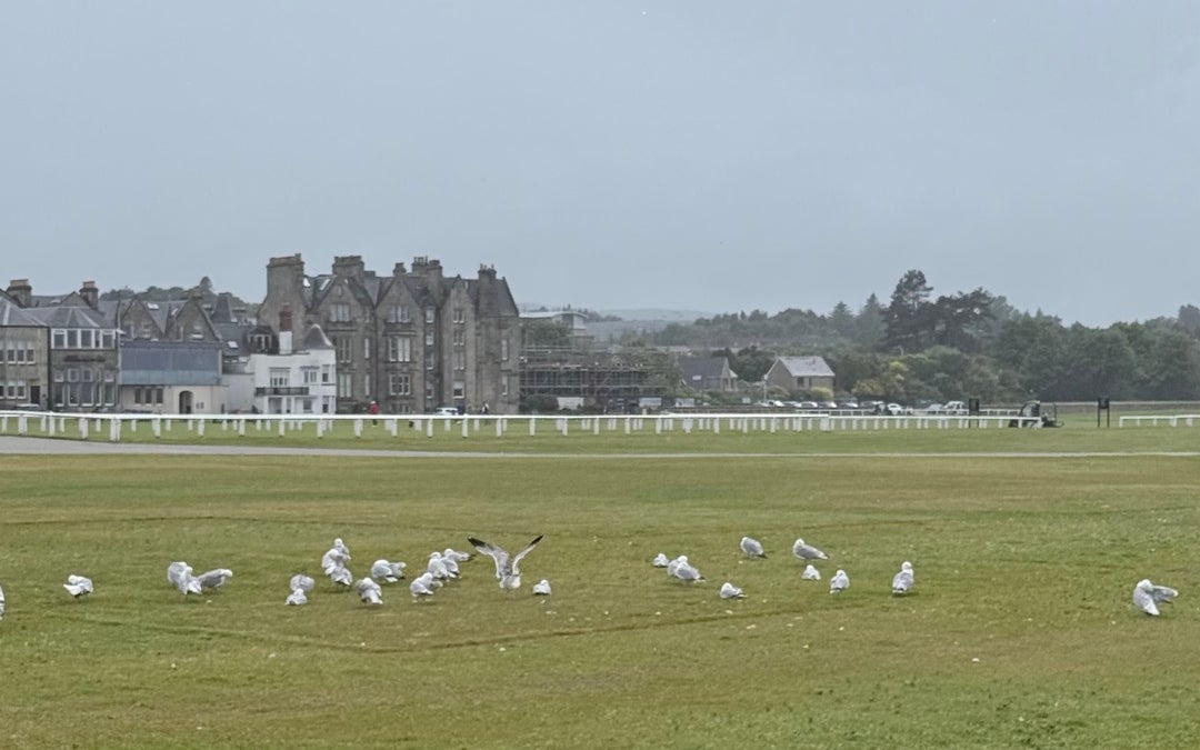 The Royal and Ancient Golf Club of St Andrews