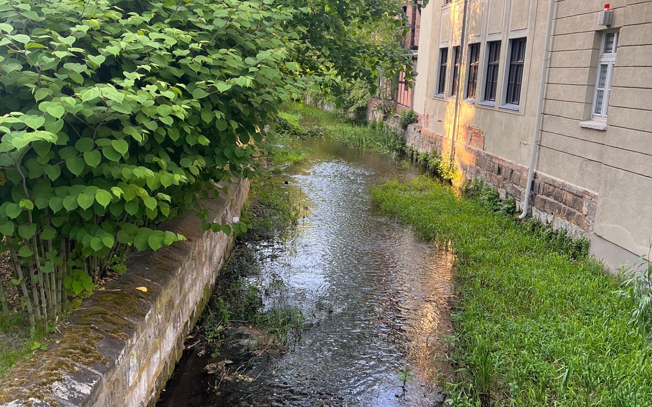 Historical Old Town of Quedlinburg (Historische Altstadt)