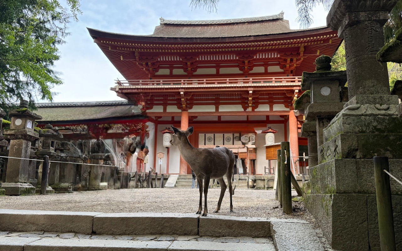 Kasuga-taisha Shrine (春日大社)