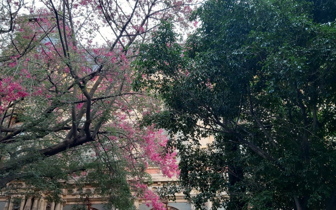 AySA - Palacio de las Aguas Corrientes