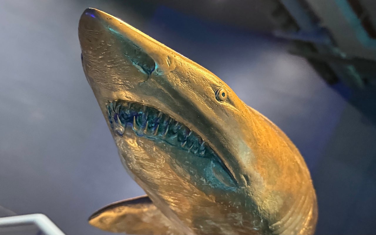 Two Oceans Aquarium