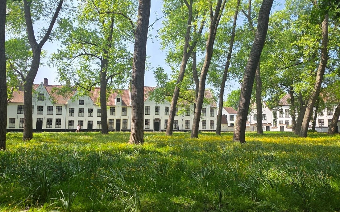 Beguinage Ten Wijngaerde (Begijnhof "Ten Wijngaerde")