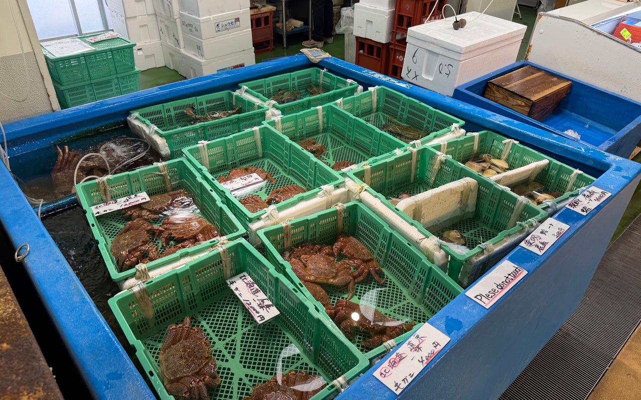 Tsukiji Outer Market (築地場外市場)