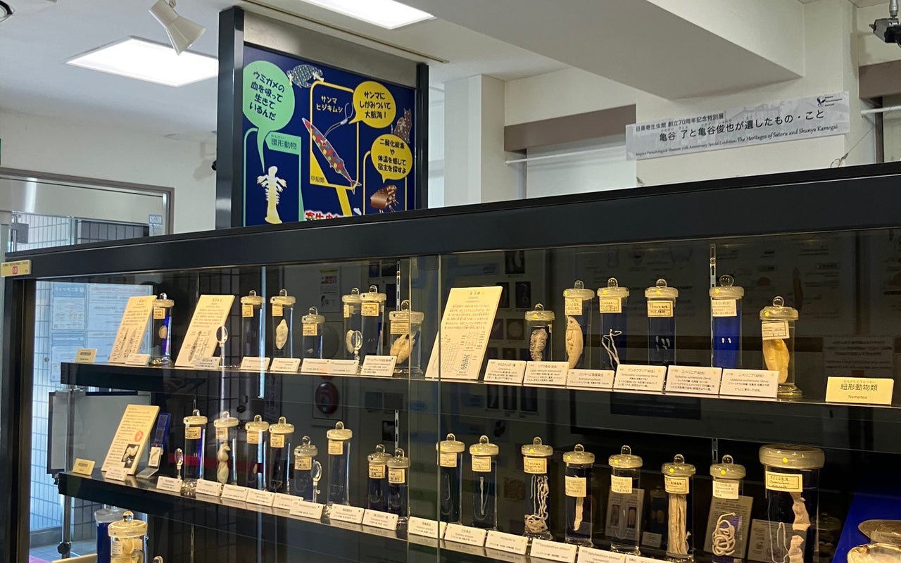 Meguro Parasitological Museum (目黒寄生虫館)