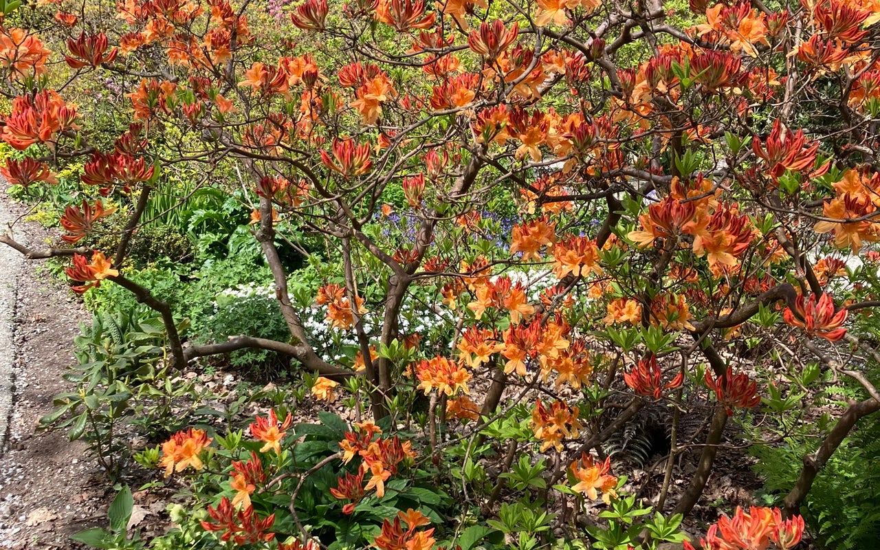 Stanley Park