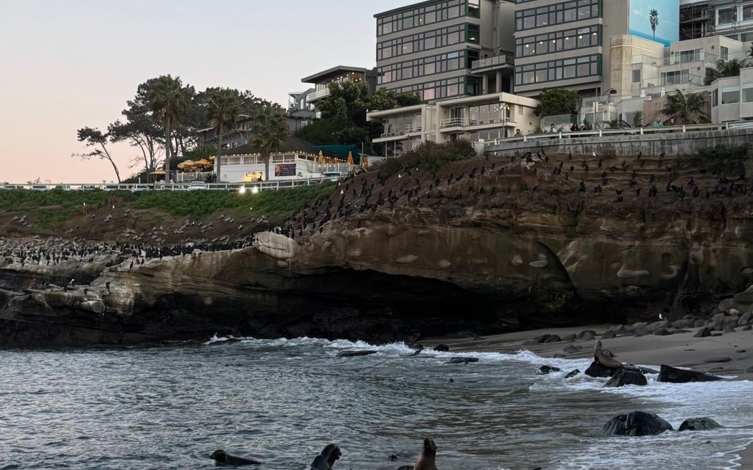La Jolla Cove