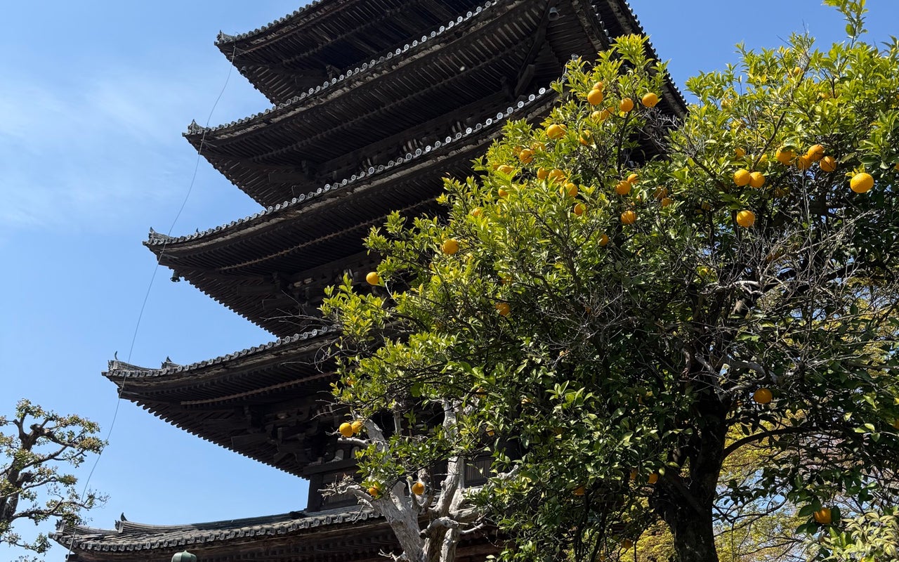 Gion (祇園)