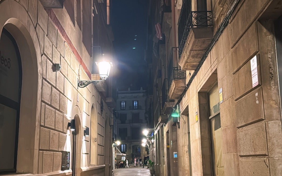 Gothic Quarter (Barri Gòtic)