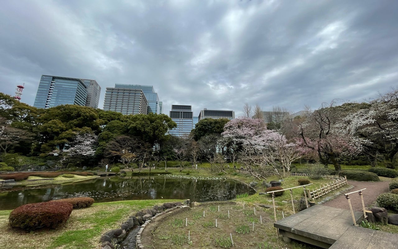 Ninomaru Garden (二の丸庭園)
