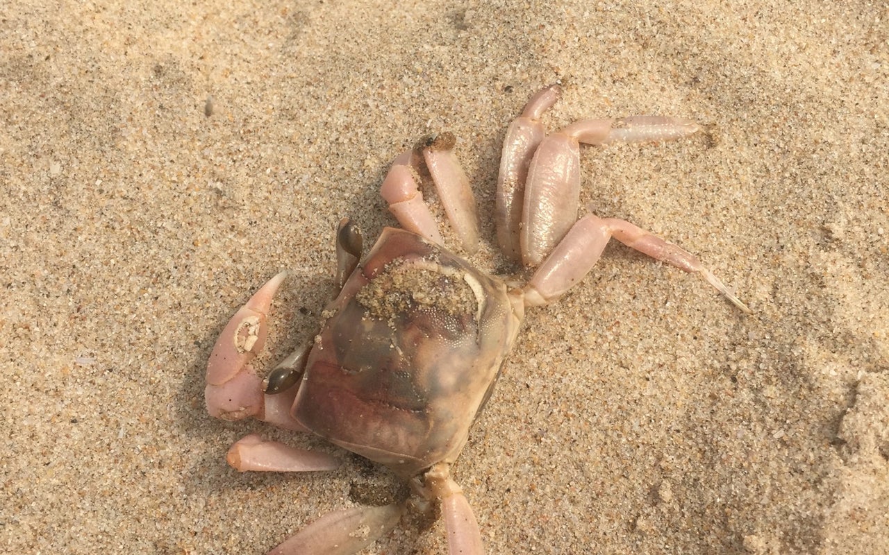 Labadi Beach