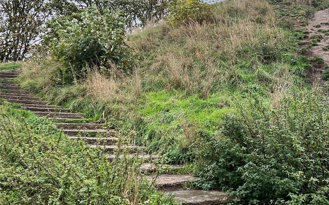 Mount Castle
