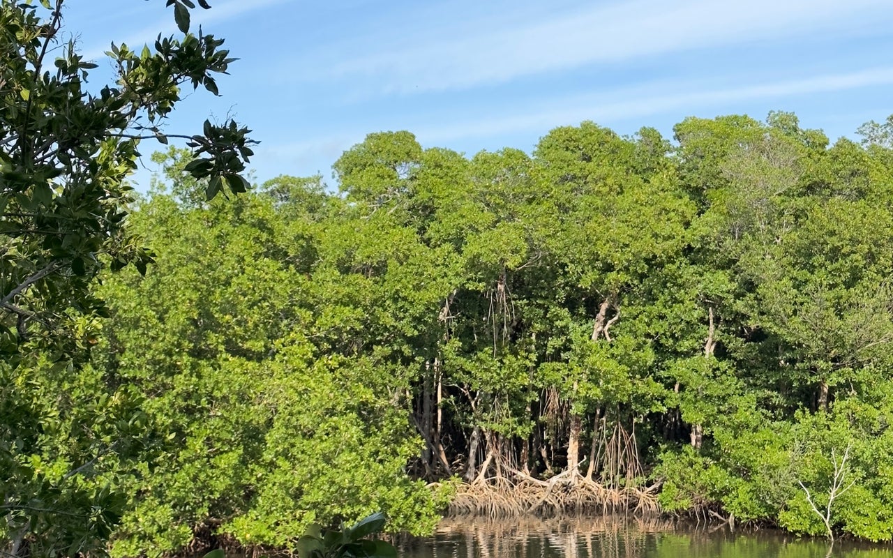 Dagny Johnson Key Largo Hammock Botanical State Park