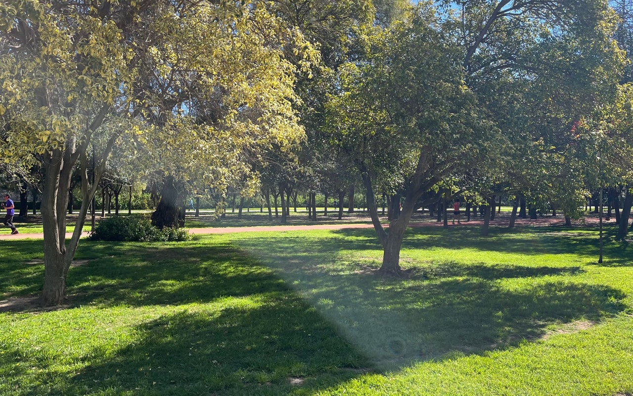Jardines del Túria