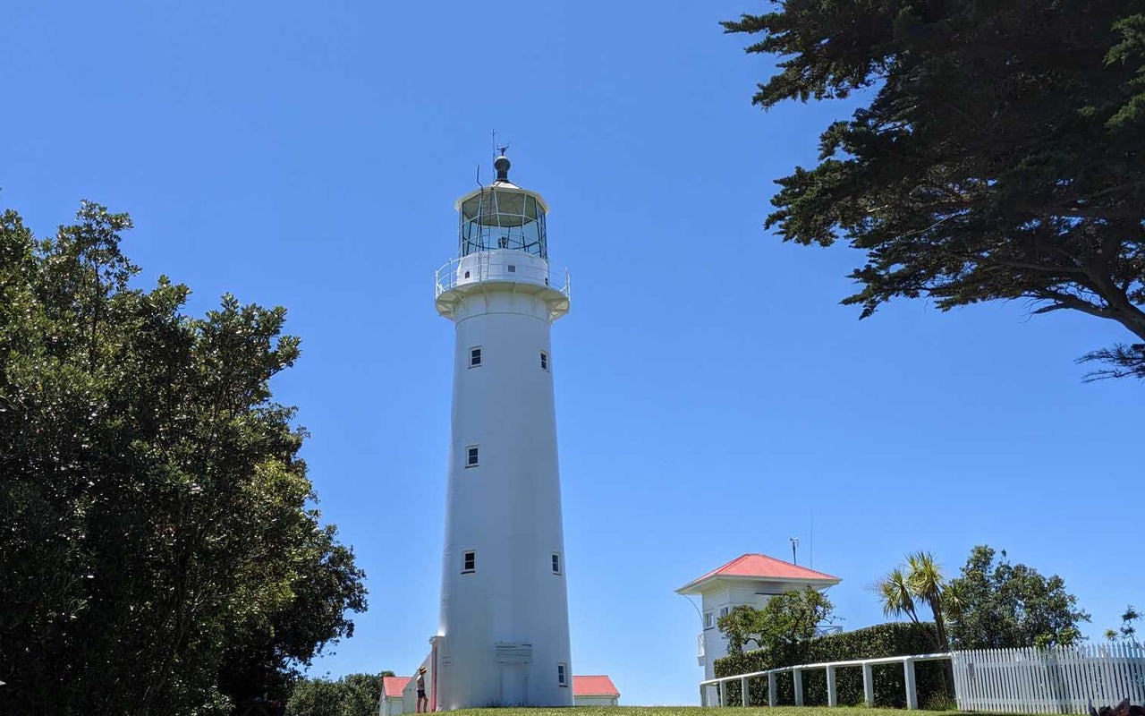 Tiritiri Matangi Island