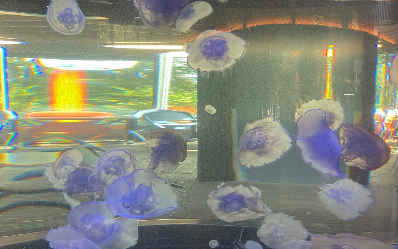 Oregon Coast Aquarium