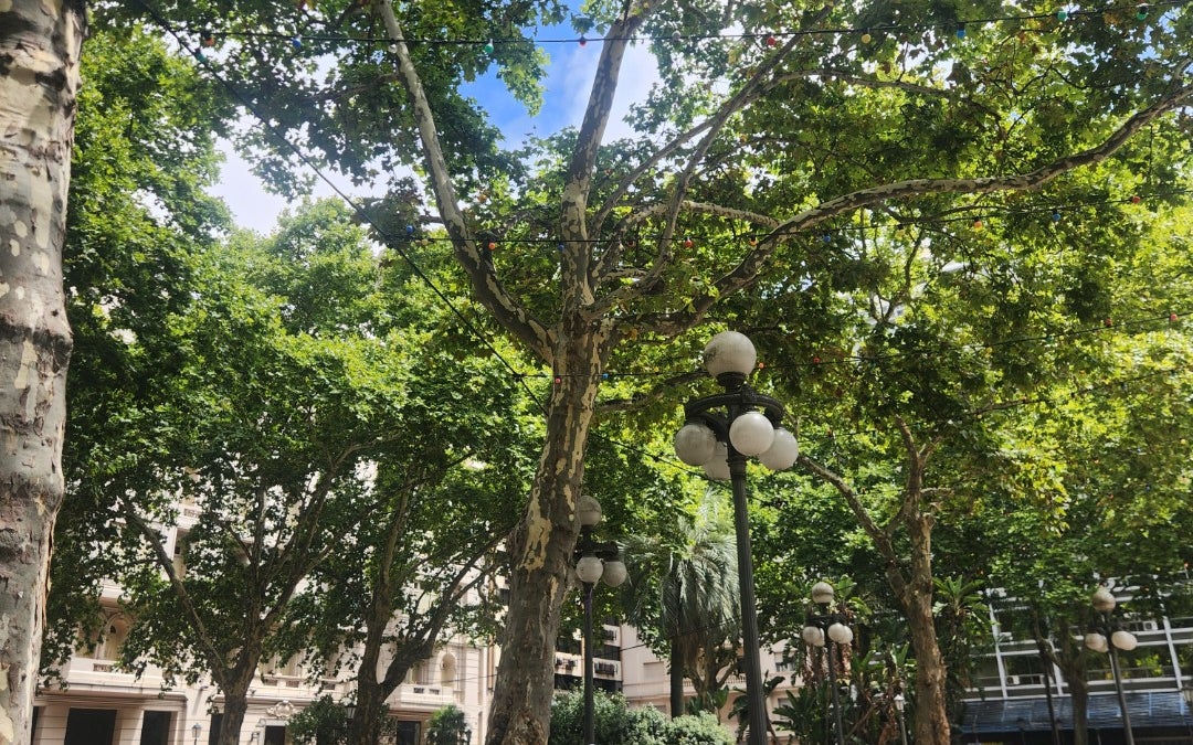 Plaza de Cagancha