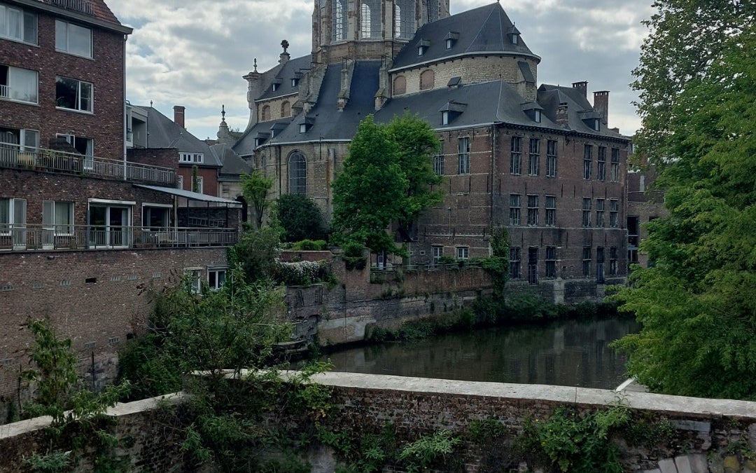 Dijlepad